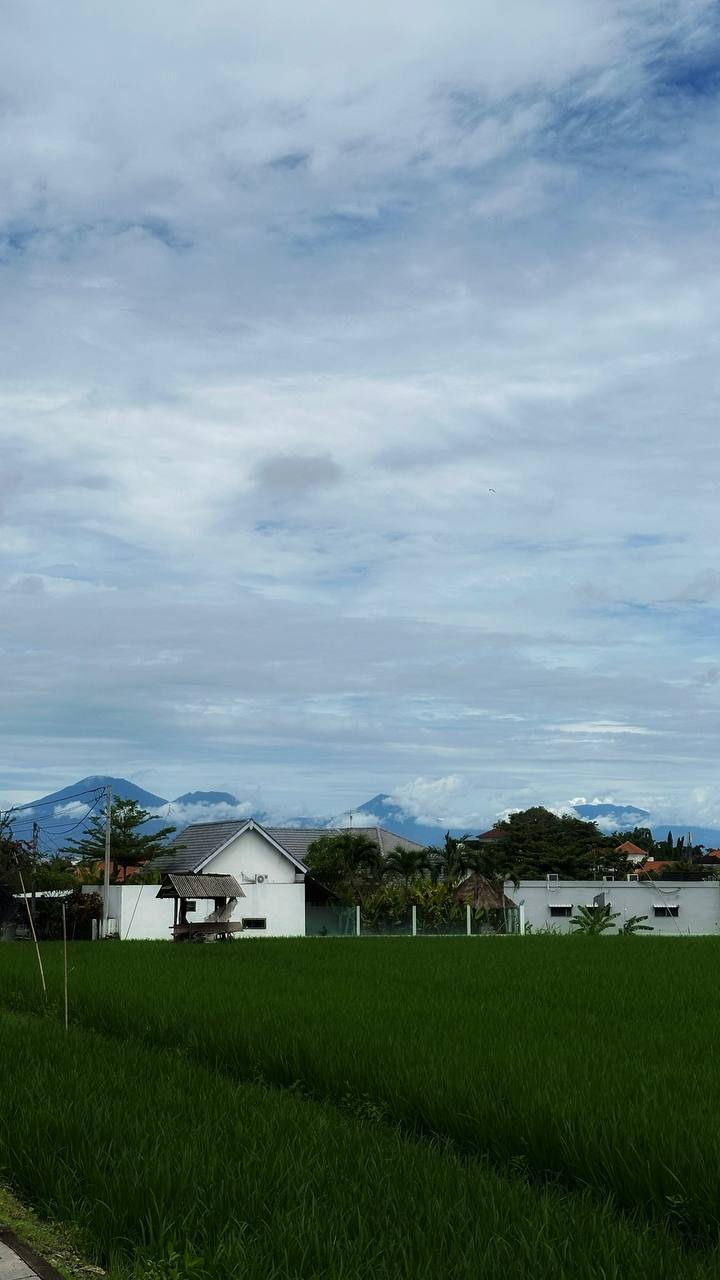 Первые строчки мировых рейтингов или как Бали завоевывает мир — от туристического рая до прибыльного рынка для инвесторов
