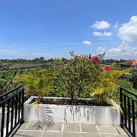 Brand New 3 bedroom Villa leasehold. Villas in Bali for Sale: Вилла в Чангу, Балиан за 270 тыс. USD. Leasehold. Предварительный просмотр фото #8