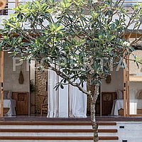 Elegant 3-Bedroom Villa In Heart Of Canggu. Villas in Bali for Sale: Вилла в Чангу, Балиан за 308 тыс. USD. Leasehold. Предварительный просмотр фото #4