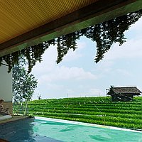 Unique 100-year lease: Serene 3-bedroom villa in Canggu. Villas in Bali for Sale: Вилла в Чангу, Балиан за 408 тыс. USD. Leasehold. Предварительный просмотр фото #1