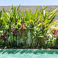 Tropical Elegance In Berawa. Villas in Bali for Sale: Вилла в Берава (Чангу), Балиан за 7,8 млрд. IDR. Leasehold. Предварительный просмотр фото #15