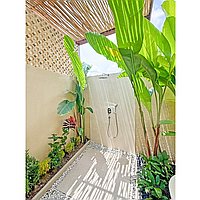 Peaceful 3-bedroom villa near the action in Canggu. Villas in Bali for Sale: Vila di dalam Canggu, Bali untuk 7,2 Miliar IDR. Leasehold. Pratinjau foto #9