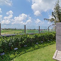 Idyllic Traditional Three-Bedroom Villa with Rice Field Views in Padang Tawang, Canggu. Villas in Bali for Sale: Вилла в Чангу, Балиан за 395 тыс. USD. Leasehold. Предварительный просмотр фото #17