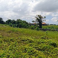 Elegant 5-bedroom villa in Seseh with expansion potential. Villas in Bali for Sale: Вилла в Чангу, Балиан за 1143 тыс. USD. Leasehold. Предварительный просмотр фото #5