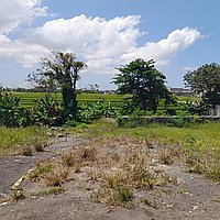 Elegant 5-bedroom villa in Seseh with expansion potential. Villas in Bali for Sale: Вилла в Чангу, Балиан за 1143 тыс. USD. Leasehold. Предварительный просмотр фото #6