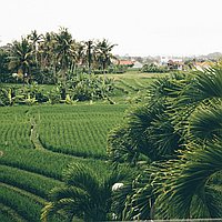 Three bedroom coastal retreat in Seseh for lease. Villas in Bali for Sale: Вилла в Чангу, Балиан за 533 тыс. USD. Leasehold. Предварительный просмотр фото #9