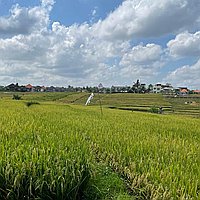 Splendid Two-Bedroom Villa with Elegant Architecture only 200 Meters to the Beach, in Cemagi. Villas in Bali for Sale: Вилла в Цемаги, Балиан за 255 тыс. USD. Freehold. Предварительный просмотр фото #10