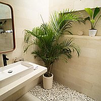 Affordable two-bedroom villa in Bumbak for lease. Villas in Bali for Sale: Вилла в Керобокан, Балиан за 229 тыс. USD. Leasehold. Предварительный просмотр фото #3