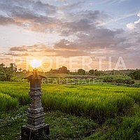 Stunning 4 Bedroom Family Home In Munggu. Villas in Bali for Sale: Vila di dalam Munggu, Bali untuk 21 Miliar IDR. Freehold. Pratinjau foto #20