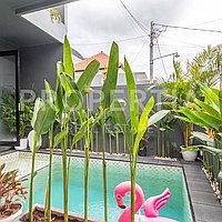 Villa In Peaceful Kedungu. Villas in Bali for Sale: Вилла в Kedungu, Балиан за 2,9 млрд. IDR. Leasehold. Предварительный просмотр фото #9