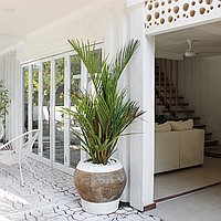 Contemporary 3-bedroom villa in Ungasan for lease. Villas in Bali for Sale: Вилла в Bukit South, Балиан за 254 тыс. USD. Leasehold. Предварительный просмотр фото #2