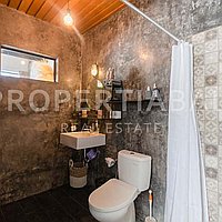 Modern Loft In The Heart Of Bumbak. Villas in Bali for Sale: Вилла в Умалас, Балиан за 8,6 млн. RUB. Leasehold. Предварительный просмотр фото #10