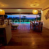 Tropical Living In Seseh With Ricefield Views. Villas in Bali for Sale: Вилла в Сесех, Балиан за 4,1 млрд. IDR. Leasehold. Предварительный просмотр фото #8