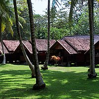 Turnkey Business & Property Investment – Fully Operational Surf Resort in Sumatra. Villas in Bali for Sale: Вилла в Суматра, Балиан за 600 тыс. USD. Freehold. Предварительный просмотр фото #2