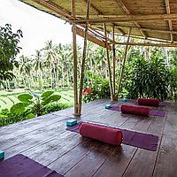 Stunning 8 Bedroom Villa and Retreat in Rice Paddy Setting – Balian. Villas in Bali for Sale: Вилла в Табанан, Балиан за 492 тыс. USD. Leasehold. Предварительный просмотр фото #10