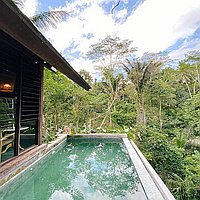 One bedroom villa with jungle view in Ubud. Villas in Bali for Sale: Вилла в Убуд, Балиан за 219 тыс. USD. Freehold. Предварительный просмотр фото #5