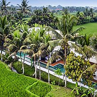 Spectacular rice field view villa in Sayan, Ubud. Villas in Bali for Sale: Вилла в Убуд, Балиан за 311 тыс. USD. Leasehold. Предварительный просмотр фото #8
