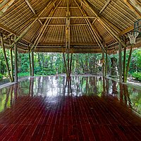 Expansive 27 ARE Freehold Property Investment Opportunity, Minutes from Central Ubud. Villas in Bali for Sale: Вилла в Убуд, Балиан за 874 тыс. USD. Freehold. Предварительный просмотр фото #16