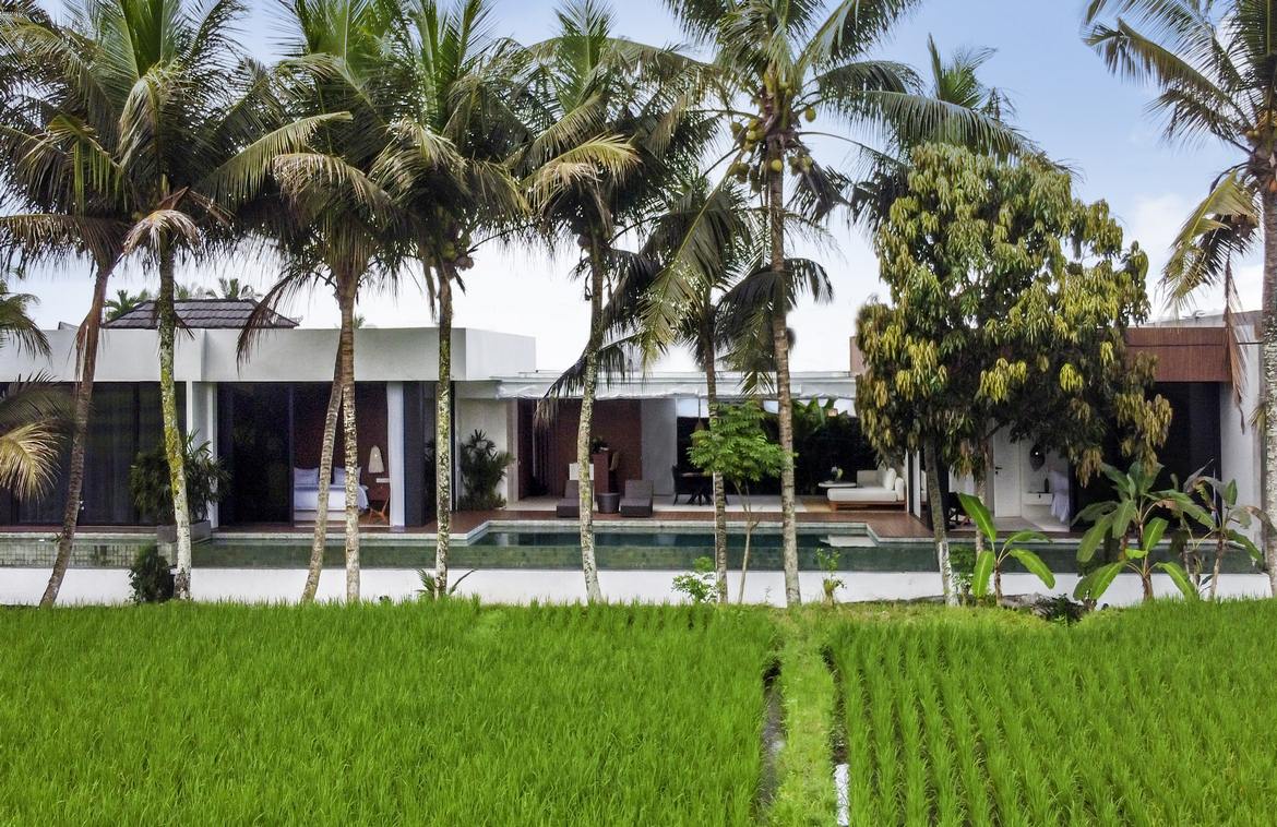 Spectacular rice field view villa in Sayan, Ubud. Villas in Bali for Sale: Вилла в Убуд, Балиан за 311 тыс. USD. Leasehold. Главное фото